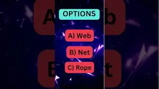 The Enigmatic Web: Can You Untangle the Hidden Mystery?