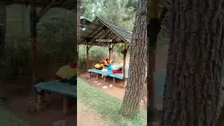 wisata kebun hayu gaess #raffasya #vidioshort