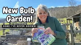 Spring Bulbs I&rsquo;ve NEVER Planted Before For A New Garden! 🌷