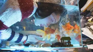 THREE HUSBANDS (Trailer)