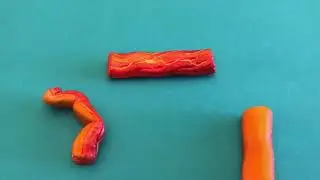 High Quality Slow Rising Bacon Foam Squishy!