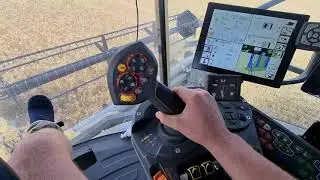 Fendt Ideal Wheat Western Australia