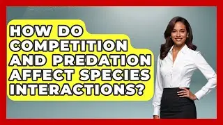 How Do Competition and Predation Affect Species Interactions? | Explaining Ecology News