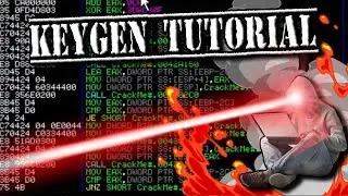 Ziggy KeyGenMe #1 Tutorial with Python Script
