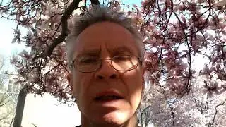 Open Letter to Iran