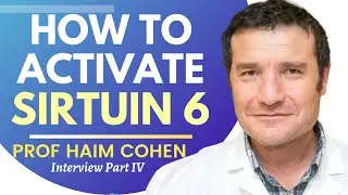 How To Activate Sirtuin 6 | Prof Haim Cohen Ep 4