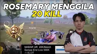 AE ROSEMARY☠️ 20 KILL ULTIMATE ROYALE PUBG MOBILE