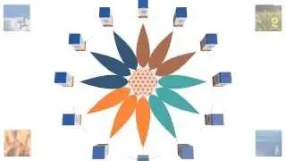 HOLORAM REGULADORES BIOLOGICOS EQUISALUD