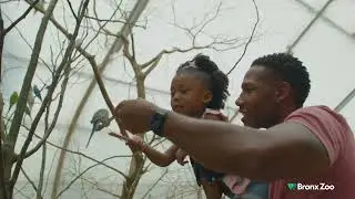Spring Summer 2025 | Bronx Zoo (30)