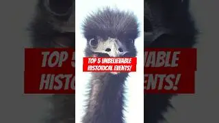 Top 5 Unbelievable Historical Events That Actually Happened | Shocking True Stories