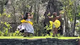 Playful Hula Art Imitates Nature #birds Hālau Ka Lehua Pua Kamaehu