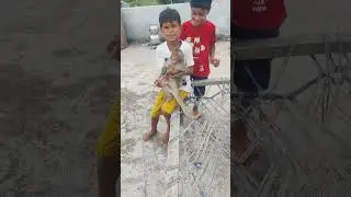 monkey ne kat liya 😂😂🤣#shortsviral #funny #monckey #monkey #shortfeed #cute #shots #funnyvideo