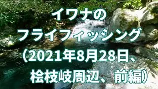 イワナのフライフィッシング（2021年8月28日、桧枝岐周辺、前編）
