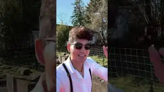 Как найти недвижимость, находящуюся на стадии выкупа, в вашем городе