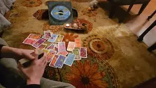 Survivor достигает звездного статуса✨️ Из грязи в князи💰💸