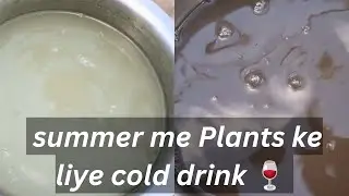 Plants ka summer  cold drink #liquid  #fertilizer