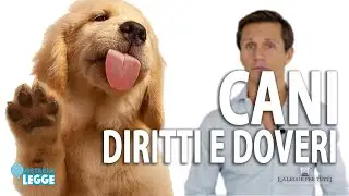 Cani : Diritti e Doveri | avv. Angelo Greco | Questa &egrave; la Legge