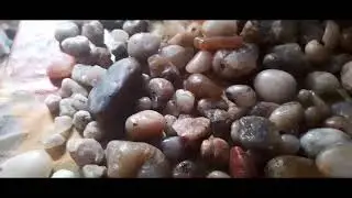 pesda achada natureza antonio jao