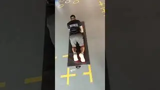 Bird dog/core stability/Abdominal strength exercises