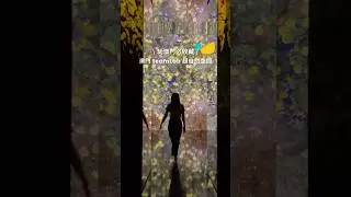 一探究竟！澳門 teamLab 超自然空間💐