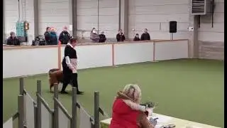 Maj - HTM Alo, 25,6 pistettä, KM, 1.10.2022 Lahti