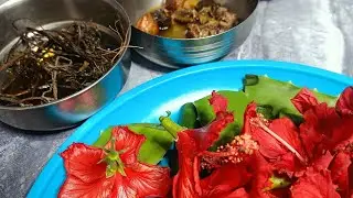 हर्बल शैंपू घर पर बनाने का आसान तरीका साथ में बालों की सारी बीमारियों को दूर करने के लिए तेल