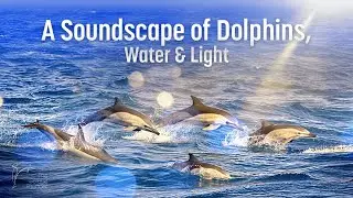High Achiever Flow | Dolphin Soundscape for Momentum & Deep Thinking