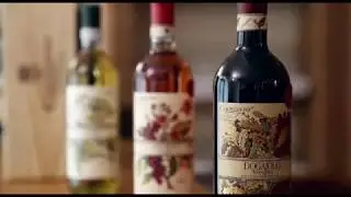 The history of Carpineto!