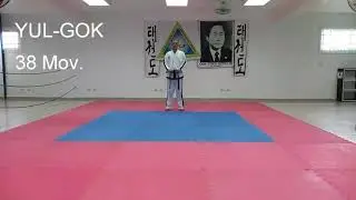 FORMA (TUL) YUL-GOK PARA CINTA VERDE PUNTA AZUL. TAEKWON-DO ITF (ANTID)