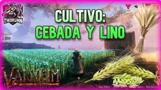 C&oacute;mo Cultivar Cebada y Lino en Valheim | Gu&iacute;a Completa de Cultivos en las Llanuras