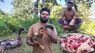 Desi Duck Curry Recipe | Duck Masala Village Style