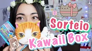 Kawaii Box Unboxing + Sorteio