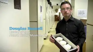The worst journey in the world | Natural History Museum