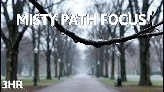 Raindrop Concentration | Misty Forest for Study & Work (3 Hours)