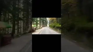 Manikaran Road 😍 #youtubeshorts #manikaran #himachal #bhunter #road