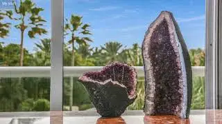 6051 N Ocean Dr, Hollywood FL 33019, USA