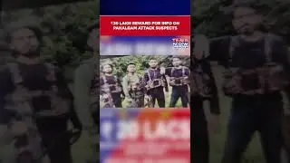 Pahalgam Terror Attack: Rs 20 Lakh Reward Announced For Information On Attack Suspects #shorts