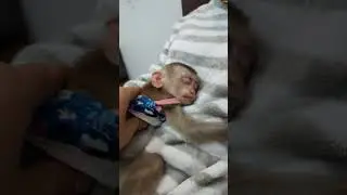 Лиза не хочет просыпаться
