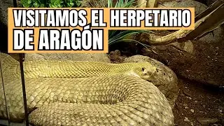 Visitamos el herpetario de Aragón