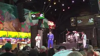 Elvis lebt