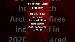 🔥 Wildfires Facts & Figures: Causes, Impact, and Prevention | Climate Change & Forest Fires 🌎#fire
