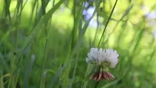 January 13 &ndash; A Beautiful Day to Relax, Smile & Connect with Nature 🌞🍃 de taguit in descriere
