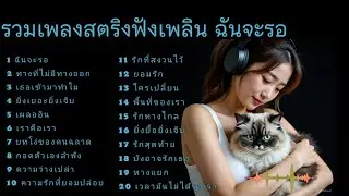 รวมเพลงสตริงฟังเพลิน ฉันจะรอ #ฟังเพลง 