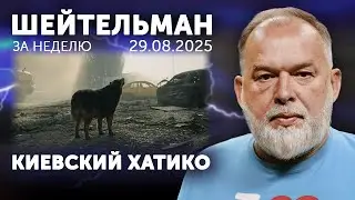 То &ndash; бензин, а то &ndash; дети. Трампятина по-португальски. А он опять сегодня не пришла