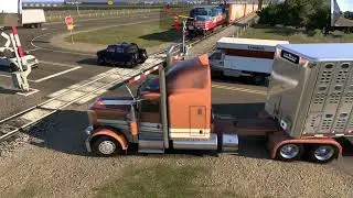 ATS - Ruda 389 with Livestock trailer - CAT 3406e