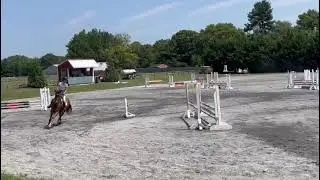 HSH Apollo_2023 Waredaca Farm Aug HT Beginner Novice Show Jumping