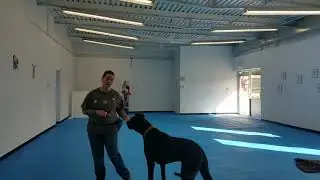 Hand targets
