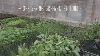 Orchard Hill Farm - Spring Greenhouse Tour with Ellen