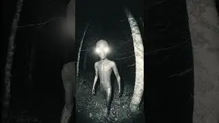 Trail Camera CAPTURES THIS in the Forest at Night&hellip; 👽😱#alien #ufo #paranormal #unexplained