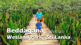beddagana wetland park sri lanka | relaxing place around colombo | 4K